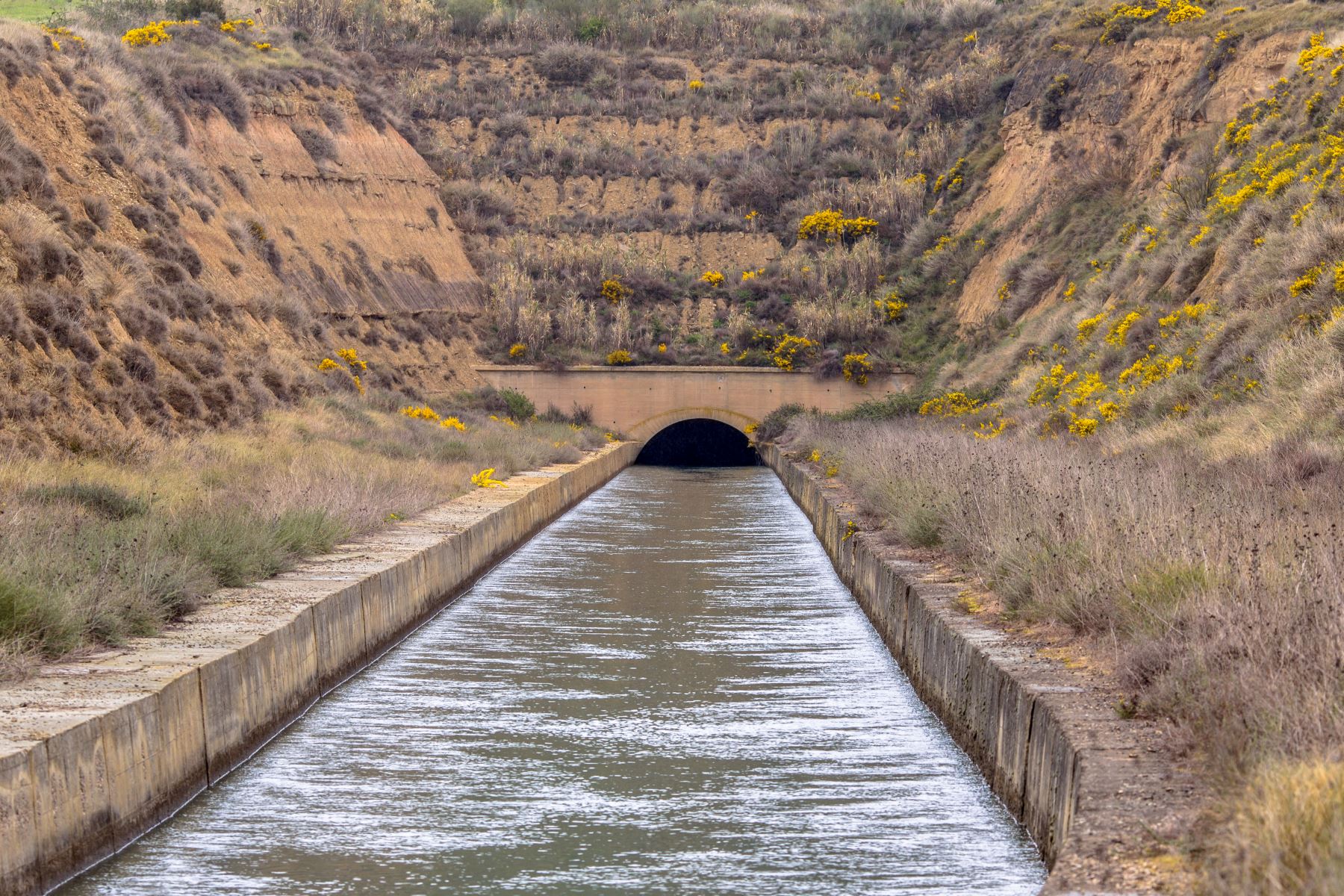 ANDINA/Difusión