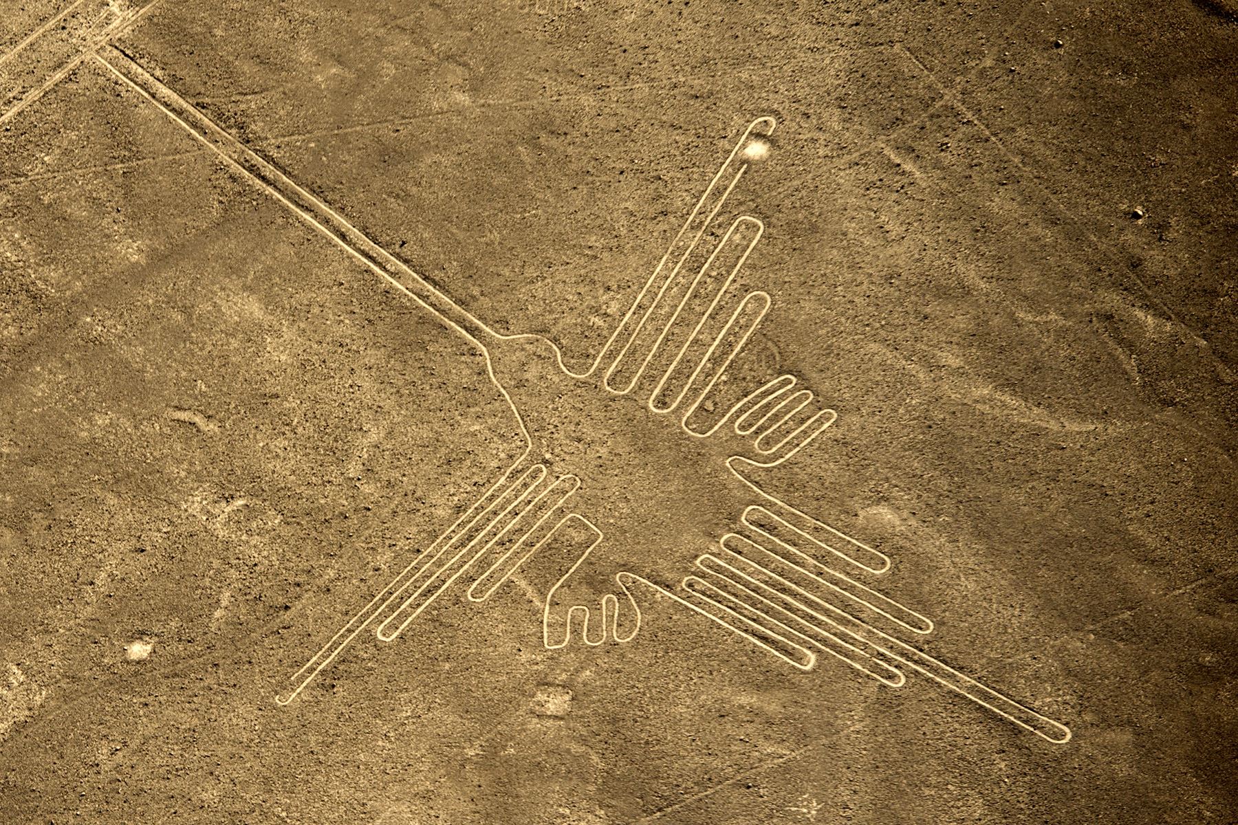 Vista aérea del Colibrí, una de las figuras mejor conservadas  en las Líneas de Nazca. Foto: AFP