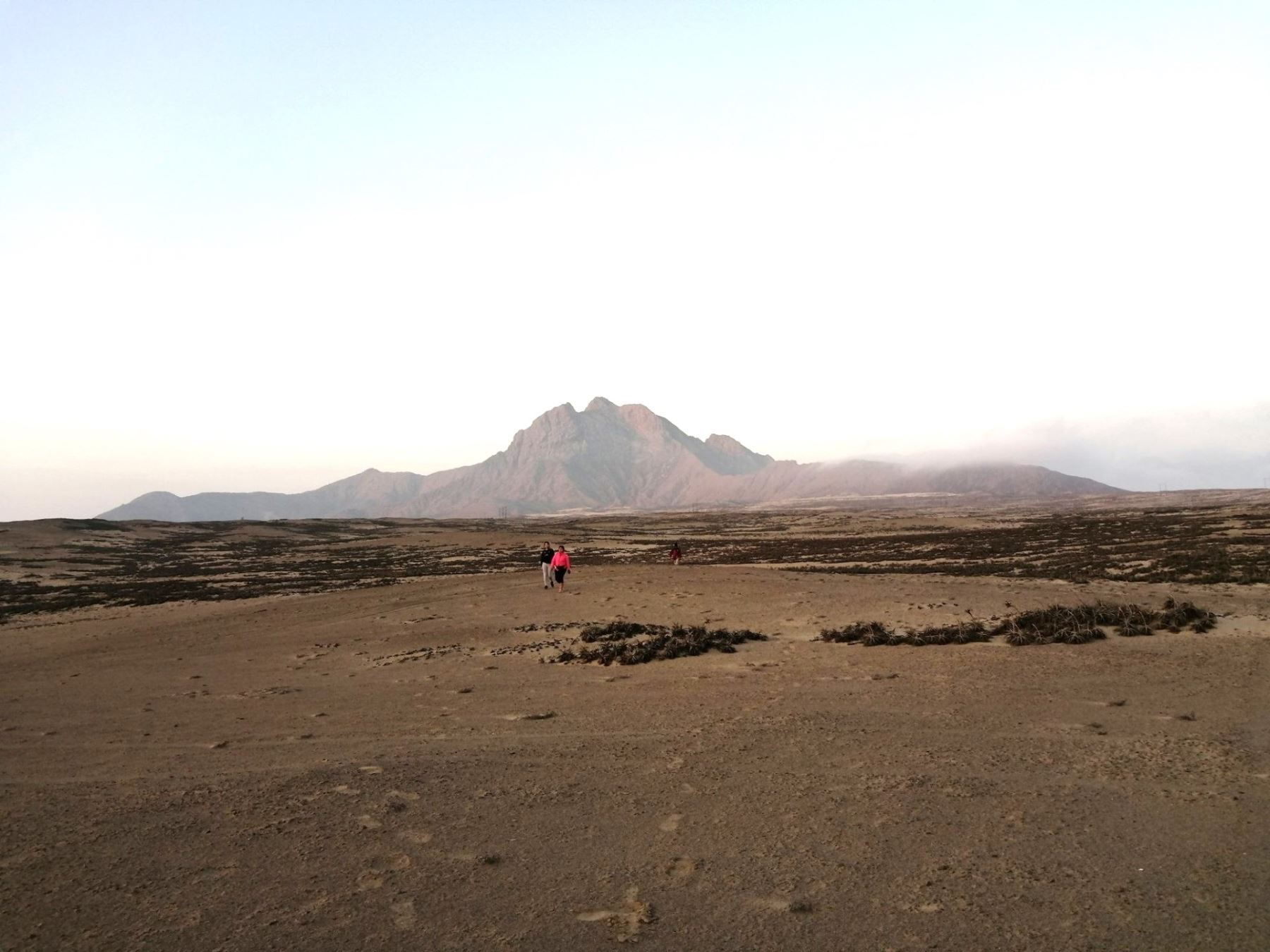 El Ministerio de Cultura retiró parcialmente la condición de Patrimonio Cultural de la Nación al Paisaje Arqueológico Cerro Campaña, ubicado en las provincias de Ascope y Trujillo, en La Libertad. ANDINA/Difusión