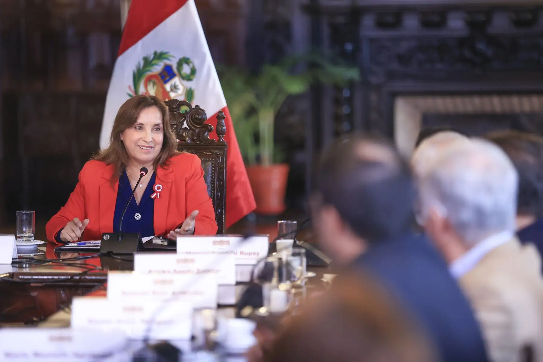Reunión con representantes de la organización Pro Amazonía. Foto: ANDINA/Prensa Presidencia