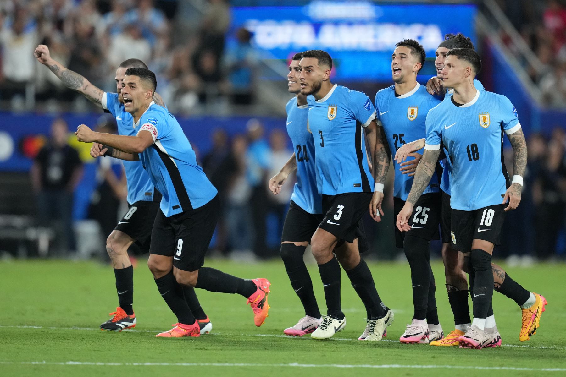 Luis Suárez de Uruguay y sus compañeros celebran la victoria en la tanda de penales durante el partido por el tercer lugar de la CONMEBOL Copa América 2024 entre Uruguay y Canadá en el estadio Bank of America .
Foto: AFP