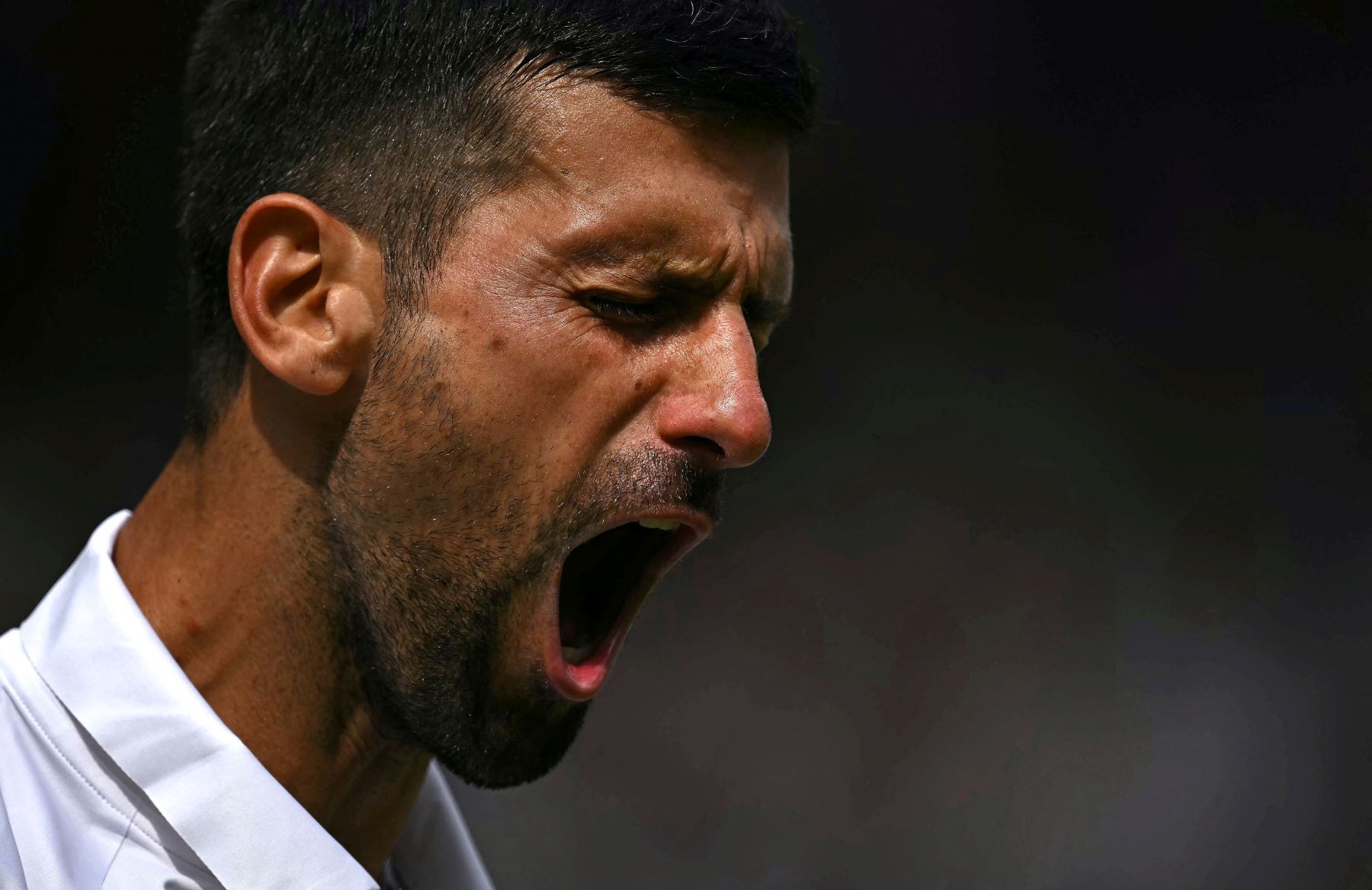 El serbio Novak Djokovic celebra ganar un partido en el tercer set contra el español Carlos Alcaraz durante su último partido de tenis individual masculino en el decimocuarto día del Campeonato de Wimbledon de 2024. AFP