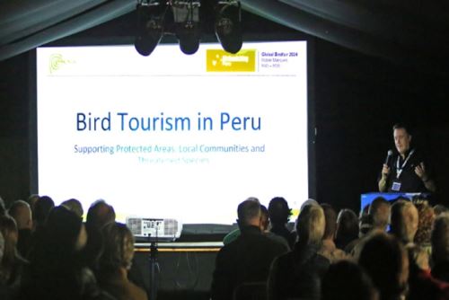 El Perú cuenta con más de 1,800 especies de aves, de las cuales 118 son endémicas; es decir, que solo es posible encontrarlas de forma natural en el Perú.