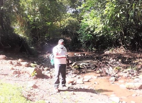Especialistas de la ANA delimitaron más de 155 km de faja marginal en la cuenca del río Huallaga, región San Martín.