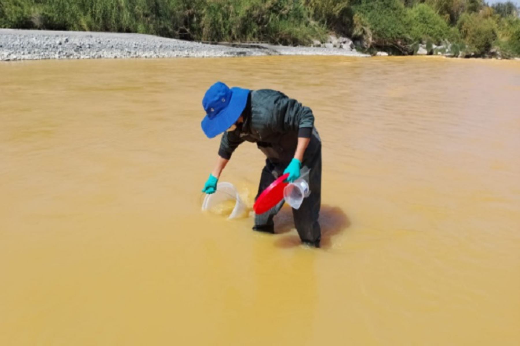 Los análisis de las muestras de agua están a cargo de la Dirección de Calidad y Evaluación de los Recursos Hídricos y el equipo técnico de la AAA Caplina-Ocoña.