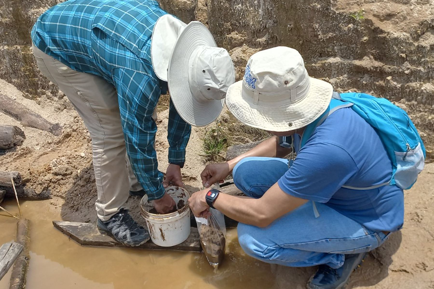 Investigadores de UTEC han diseñado un método de proceso de residuos que deja la minería artesanal para invertir en reforestar los bosques amazónicos. Foto: ANDINA/Difusión