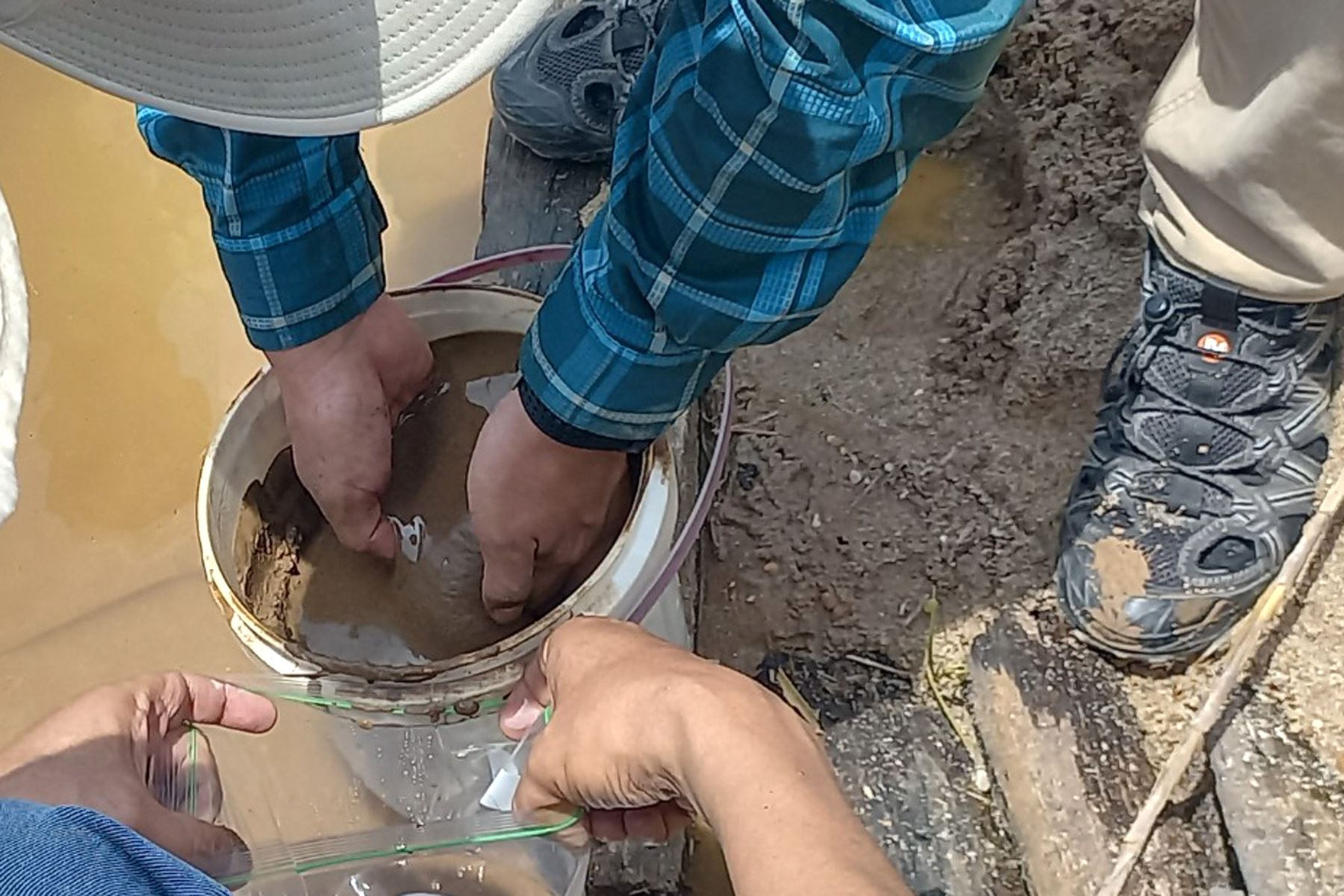 Investigadores de UTEC han diseñado un método de proceso de residuos que deja la minería artesanal para invertir en reforestar los bosques amazónicos. Foto: ANDINA/Difusión