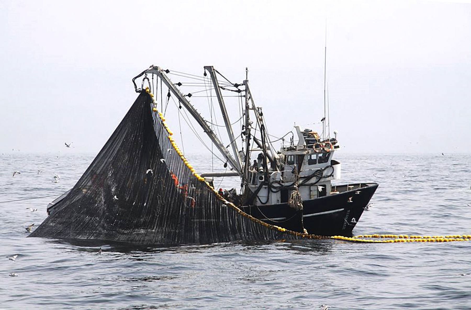 Barco pesquero en el mar peruano. ANDINA/Prensa Presidencia.