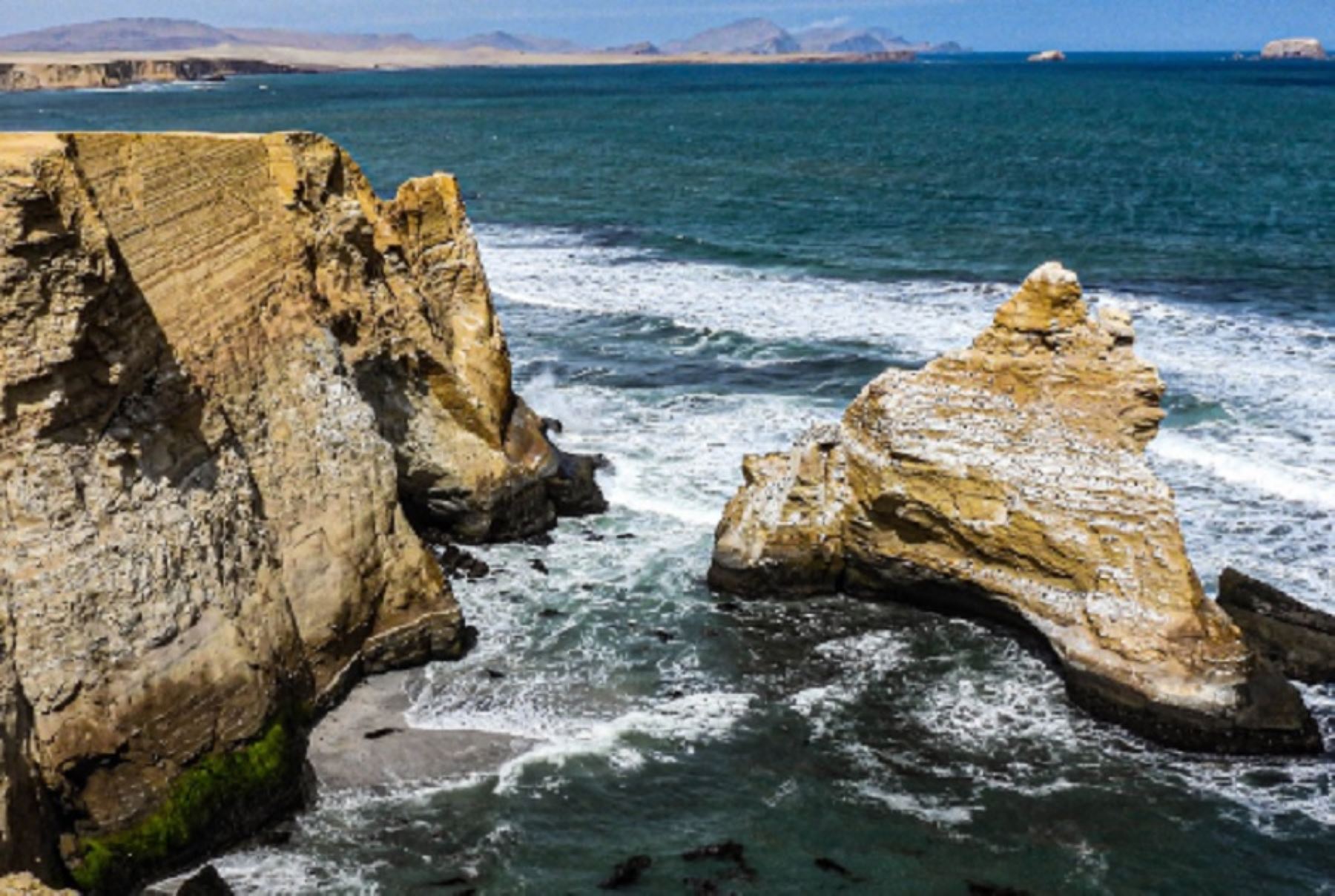 Reserva Nacional de Paracas