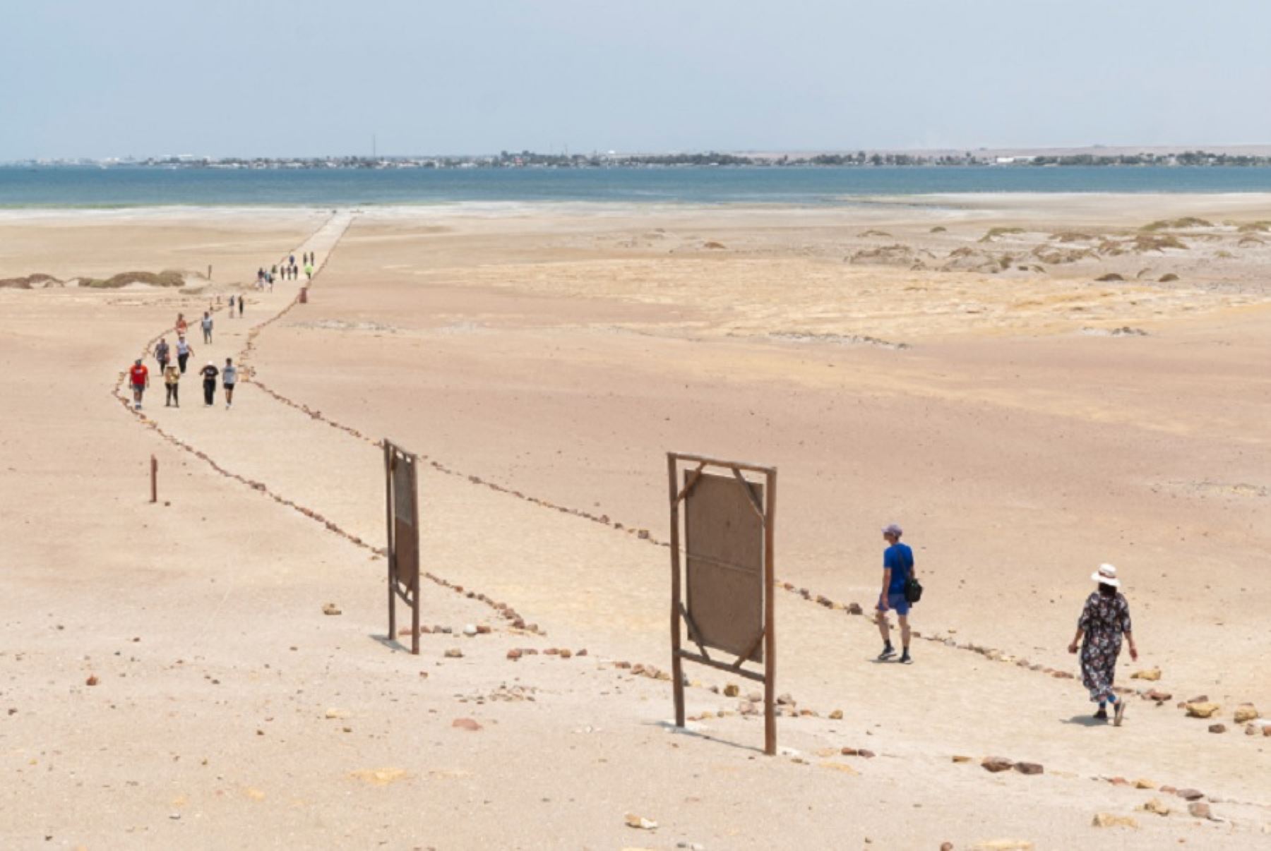 Reserva Nacional de Paracas