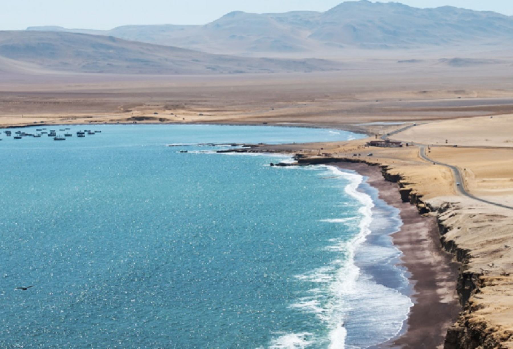 Reserva Nacional de Paracas