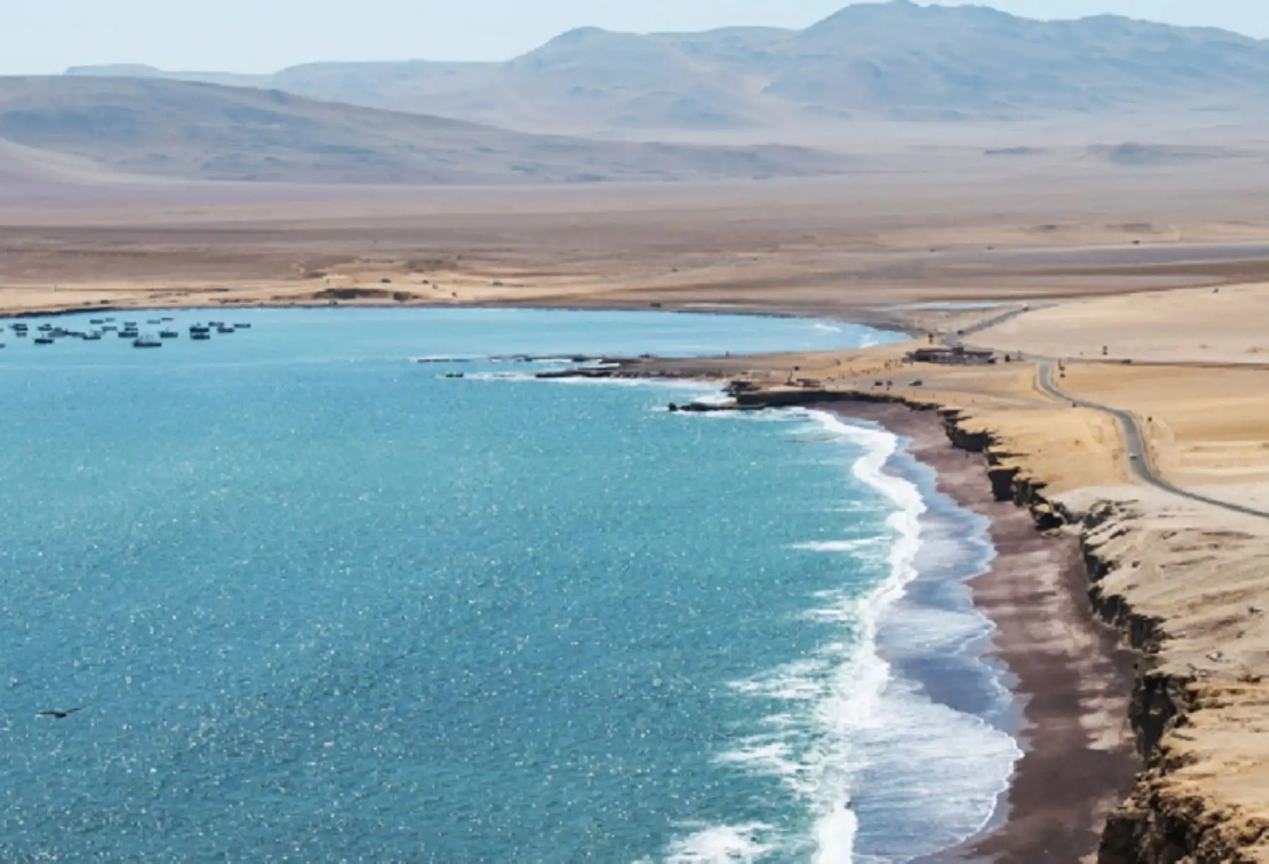 Reserva Nacional de Paracas