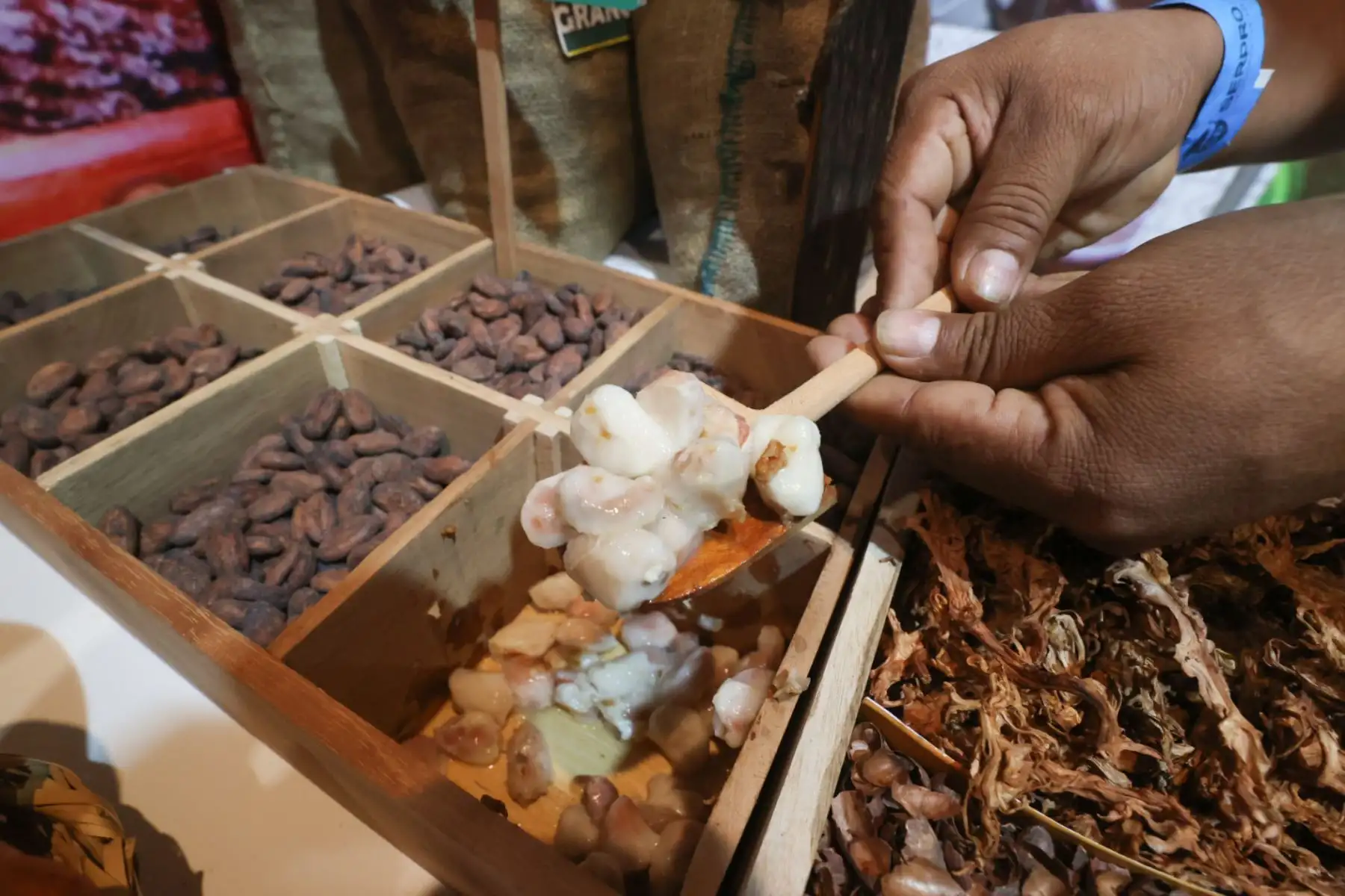 Con la presencia de los ministros de la Producción y Comercio Exterior y Turismo se inaugura el XV Salón del Cacao y Chocolate Internacional 2024. Foto: ANDINA/Juan Carlos Guzmán