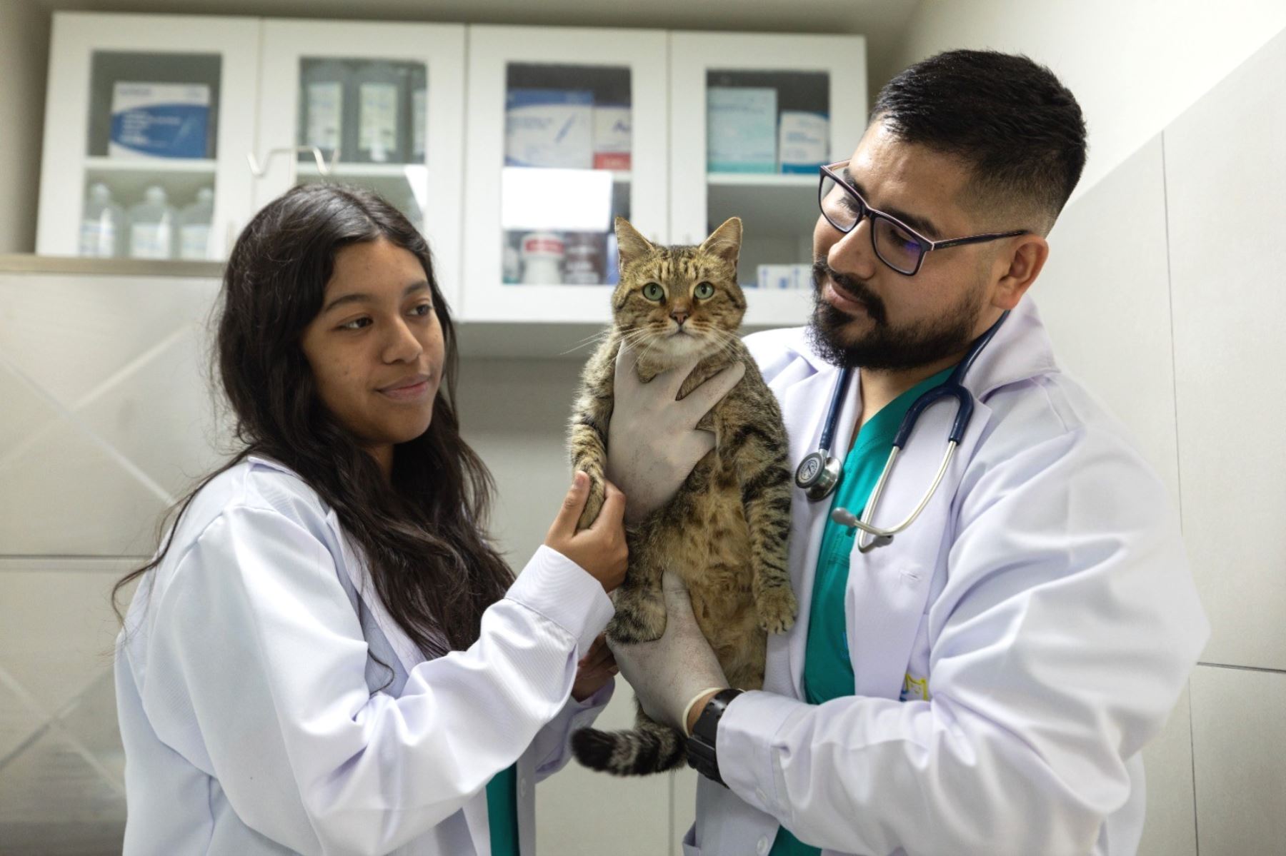 Club Metropolitano Huáscar: nuevo Vetsol beneficiará a miles de mascotas de Lima Sur. Foto: ANDINA/Difusión.