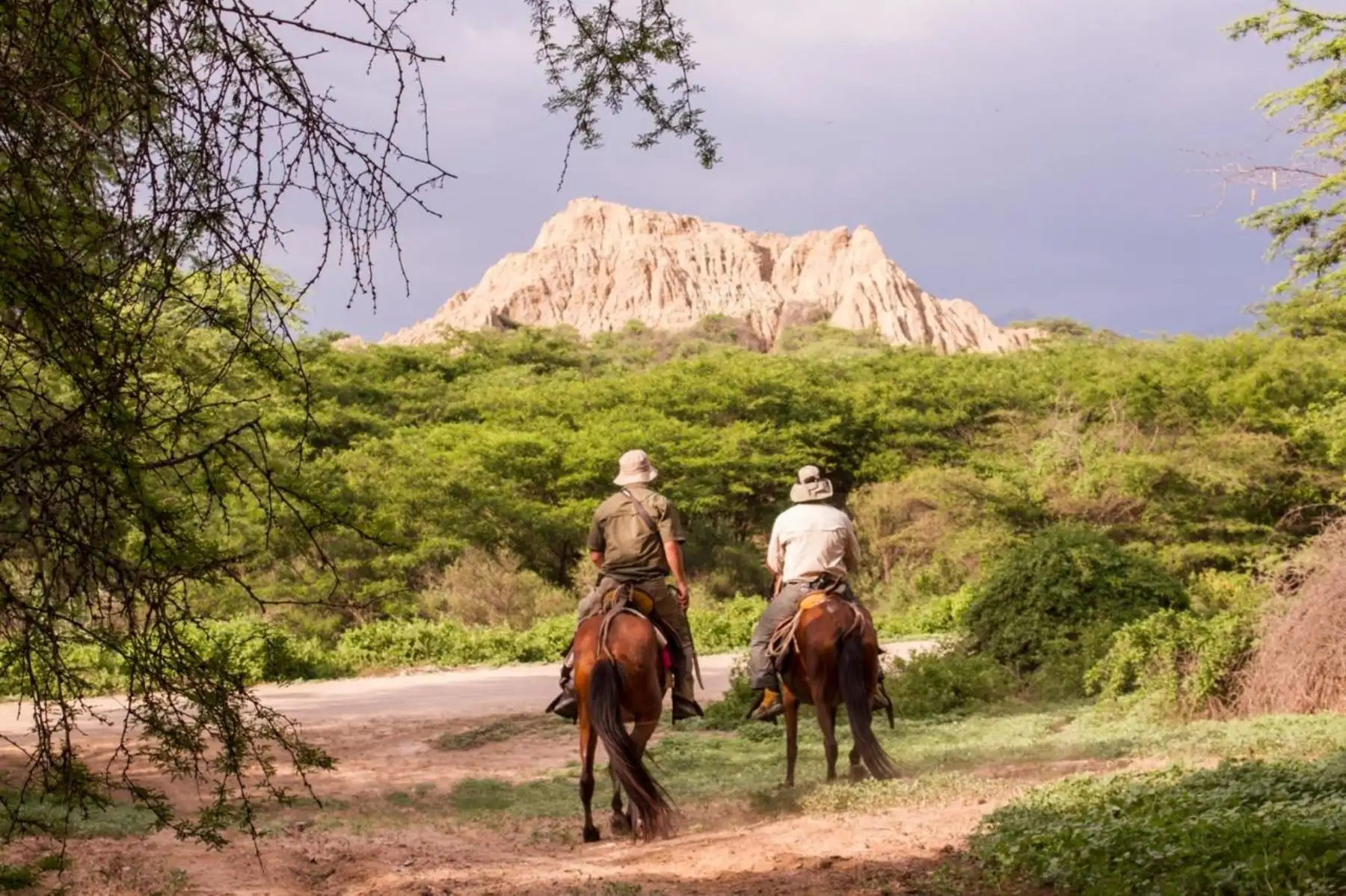 Las áreas naturales protegidas son una excelente alternativa para visitar durante el fin de semana largo por Fiestas Patrias. Foto: ANDINA/Sernanp
