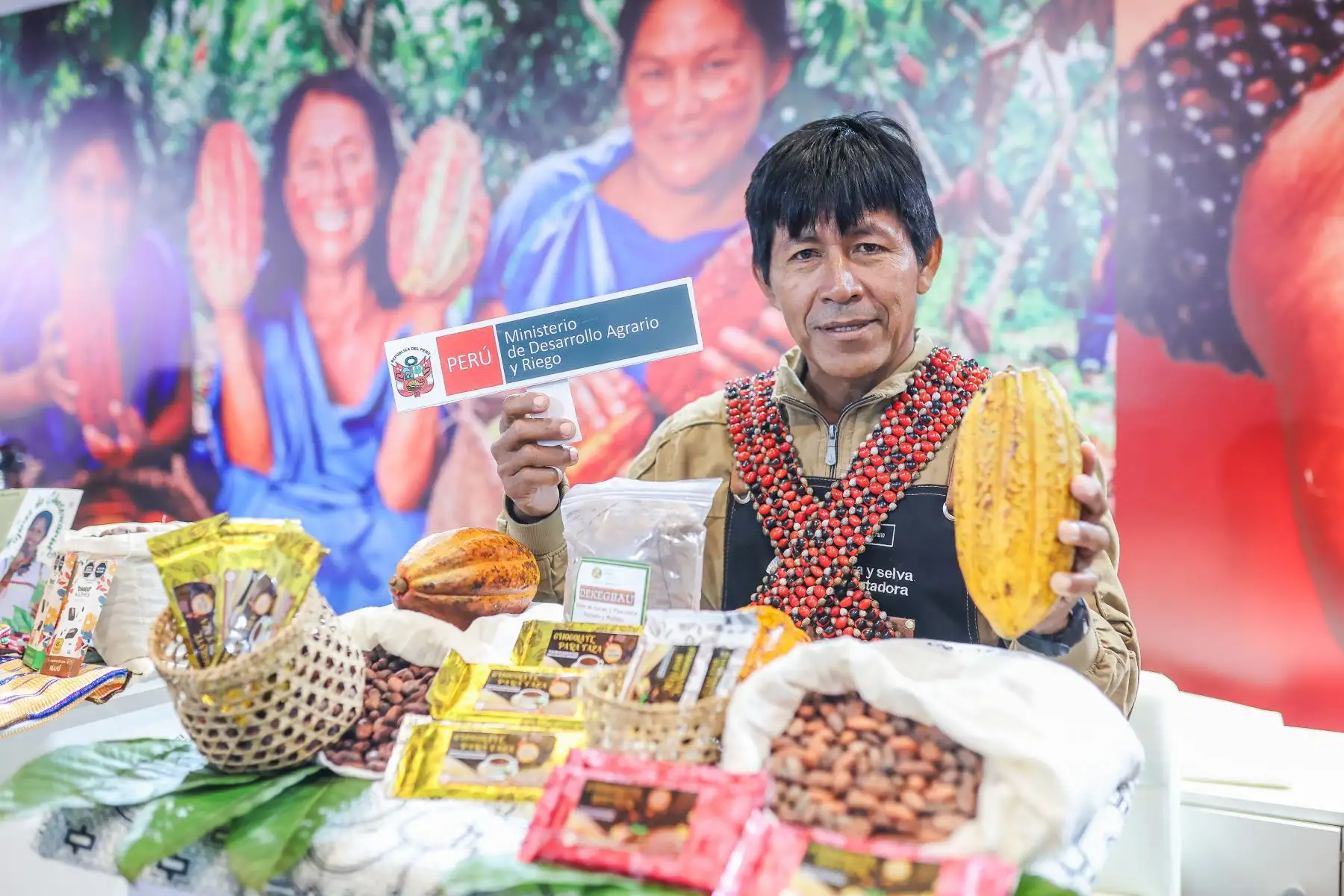 Más de 120,000 productores de la agricultura familiar se dedican al cultivo del cacao en el Perú, informó el Midagri. Foto: MIDAGRI/Difusión.