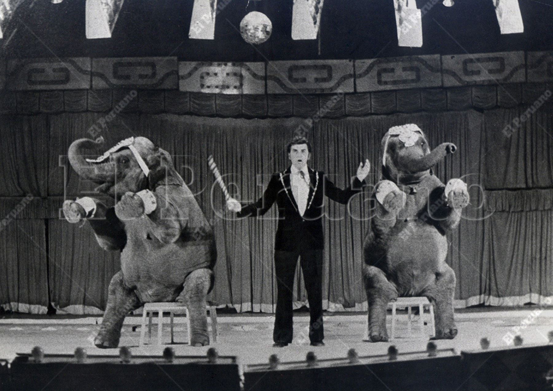 Lima - julio 1979 / Circo Roland, en las instalaciones del coliseo Amauta, realiza temporada por Fiestas Patrias, y entre su variedad presenta a los elefantes bailarines. Foto: Archivo Histórico El Peruano