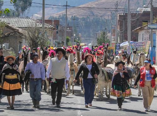 El distrito de Sapallanga, ubicado en la provincia de Huancayo, organizó la IV Feria Tradicional del Trueque, donde se revalorizó las prácticas ancestrales de los agricultores de esa jurisdicción. ANDINA/Difusión
