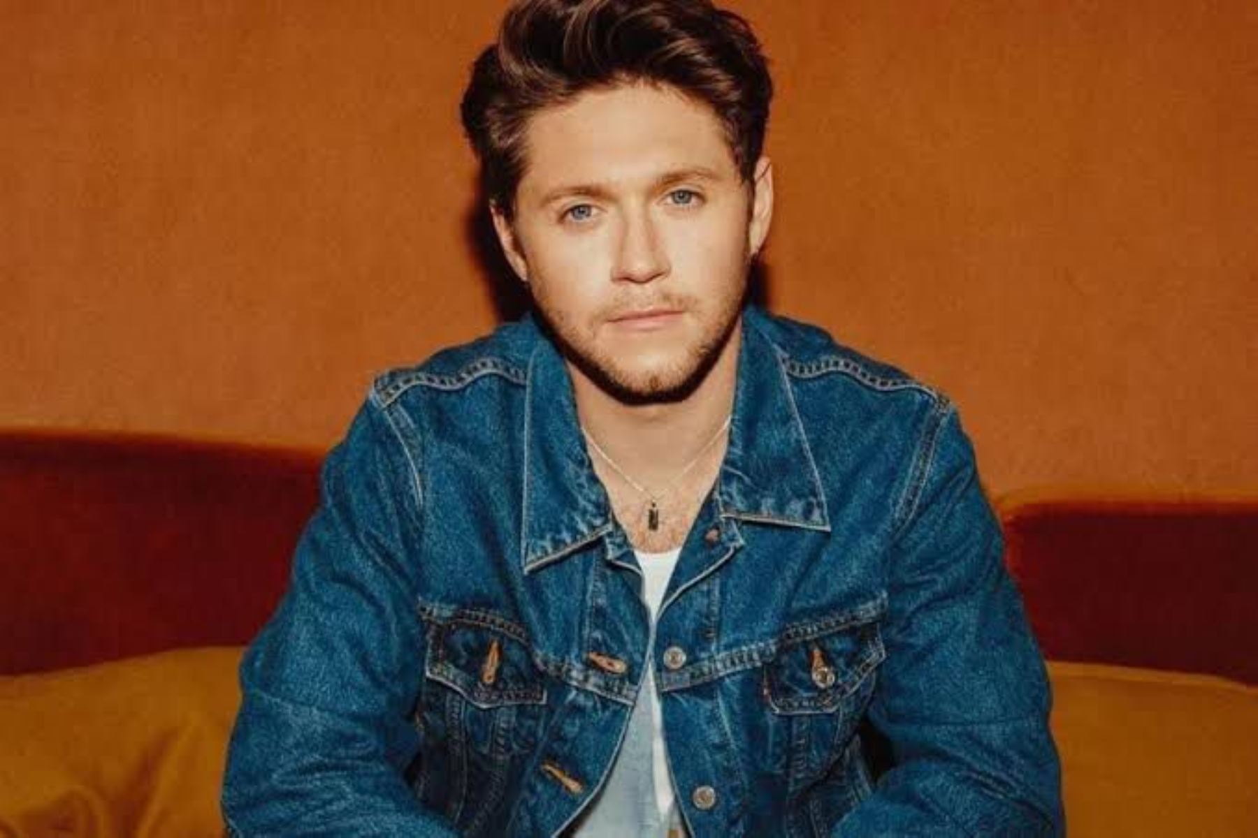 Niall Horan llega al Perú