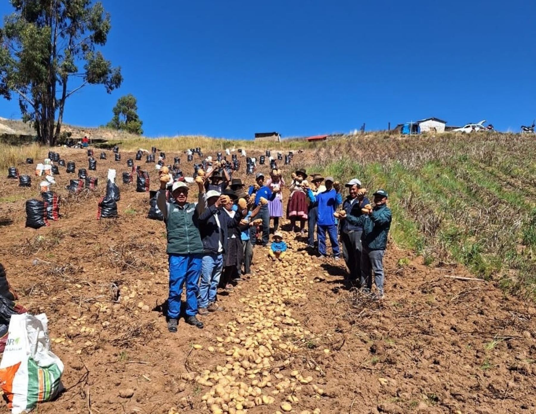 INIA, Agroideas y Agrobanco suscriben convenios para impulsar proyectos de innovación con el objetivo de potenciar la actividad agraria. ANDINA/Difusión