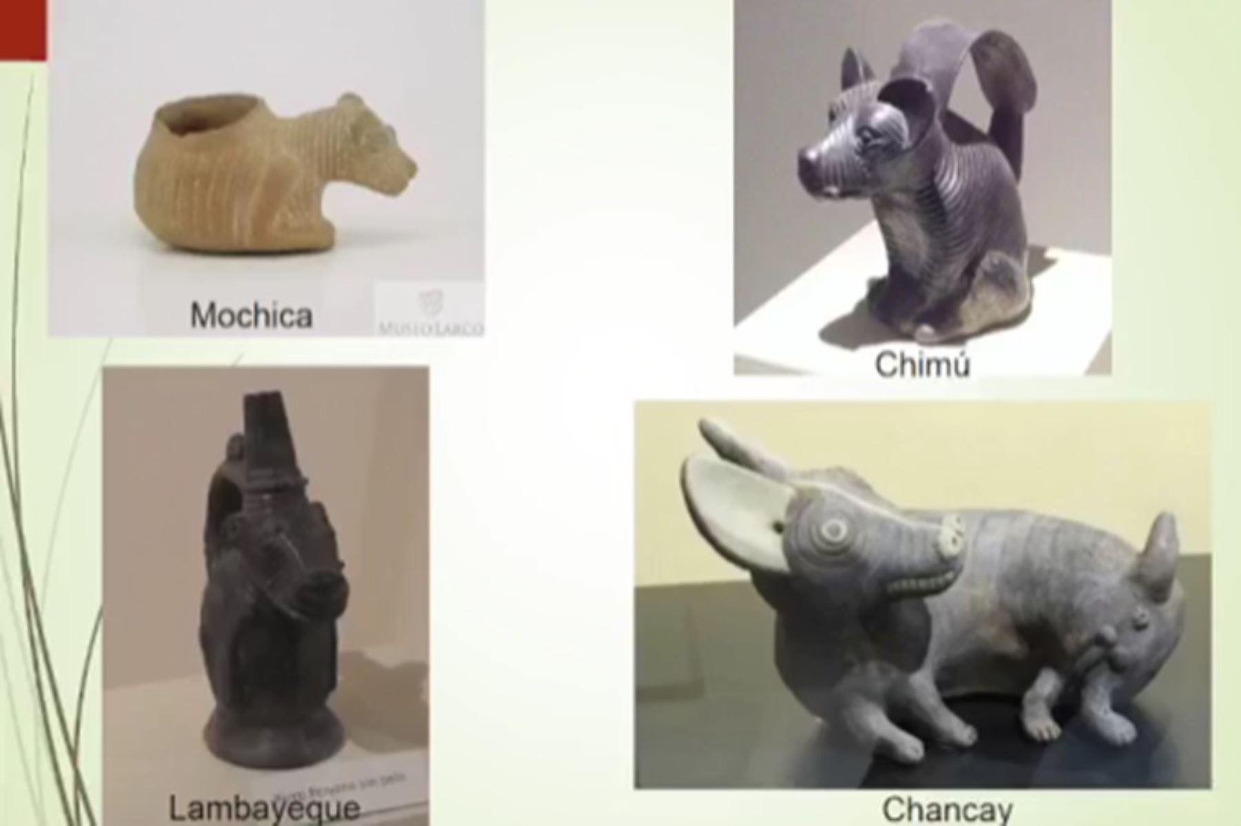 En tiempos prehispánicos, el perro sin pelo fue representado en la cerámica de distintas culturas como Vicús, Lambayeque, Mochica, Chimú y, sobre todo, Chancay, en las cuales este can aparece como personaje central sustituyendo a otros animales que eran habitualmente protagonistas, como el puma, la serpiente o el halcón.