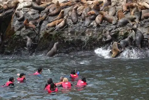 Islas Ballestas