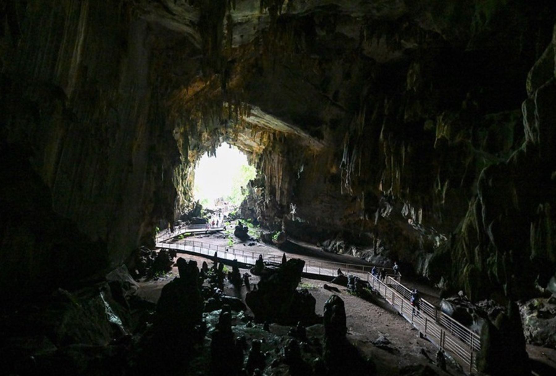 Parque Nacional Tingo María