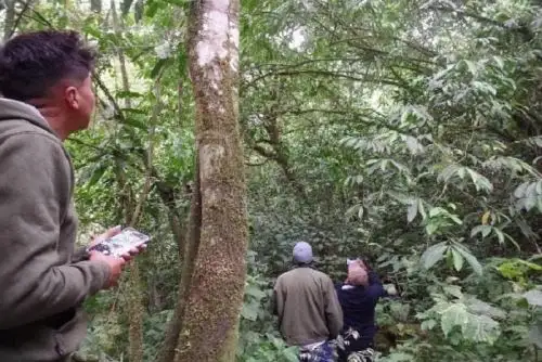 Los participantes recorrerán más de 60 kilómetros de caminos de herradura, atravesando paisajes de montaña y ríos, hasta llegar a la tierra austro-alemana de Pozuzo.