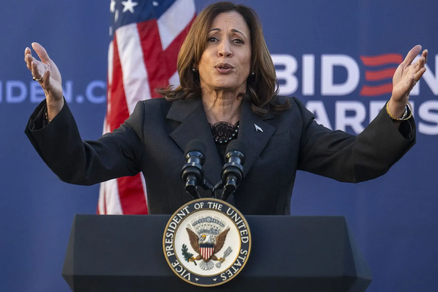 La vicepresidenta estadounidense Kamala Harris habla en la Universidad Estatal de Carolina del Sur durante un evento de campaña en Orangeburg, Carolina del Sur.
Foto: AFP