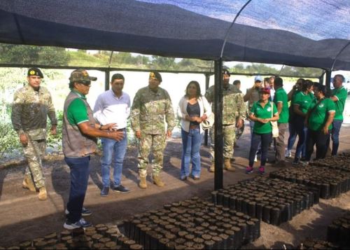 La Tercera Brigada de Fuerzas Especiales del Ejército del Perú, acantonada en Tarapoto, San Martín, implementa vivero forestal que producirá más de 10,000 plantones al año. ANDINA/Difusión