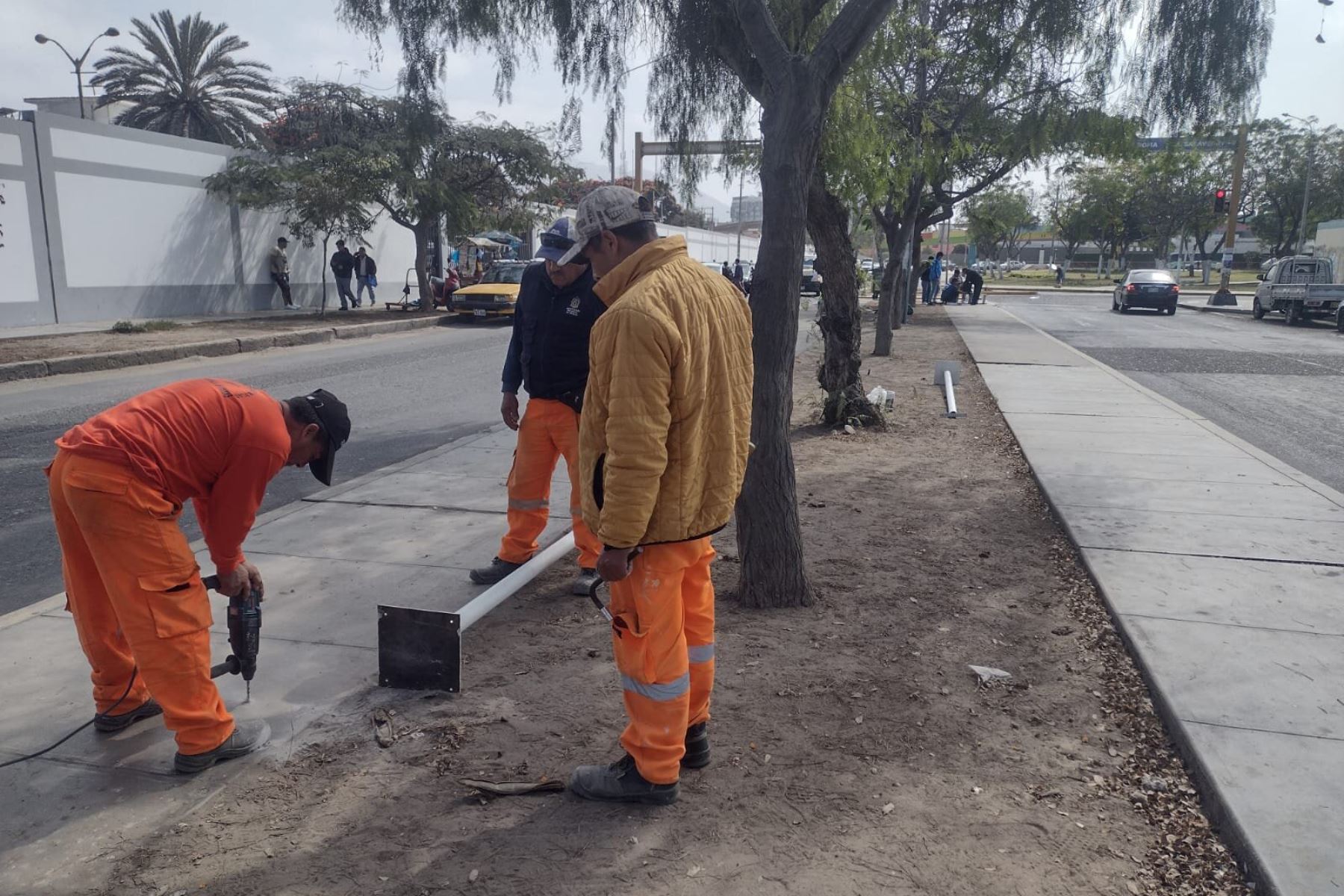 En una primera etapa se colocarán 23 luminarias con energía renovable en la avenida Roma de la ciudad de Trujillo.  Foto: ANDINA/Difusión