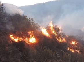 El Ministerio del Ambiente informó que intensifica sus estrategias de prevención ante posibles riesgos de incendios forestales en el Perú. ANDINA/Difusión