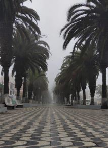 También persistirán lluvias moderadas en la Selva y Sierra. ANDINA/Difusión