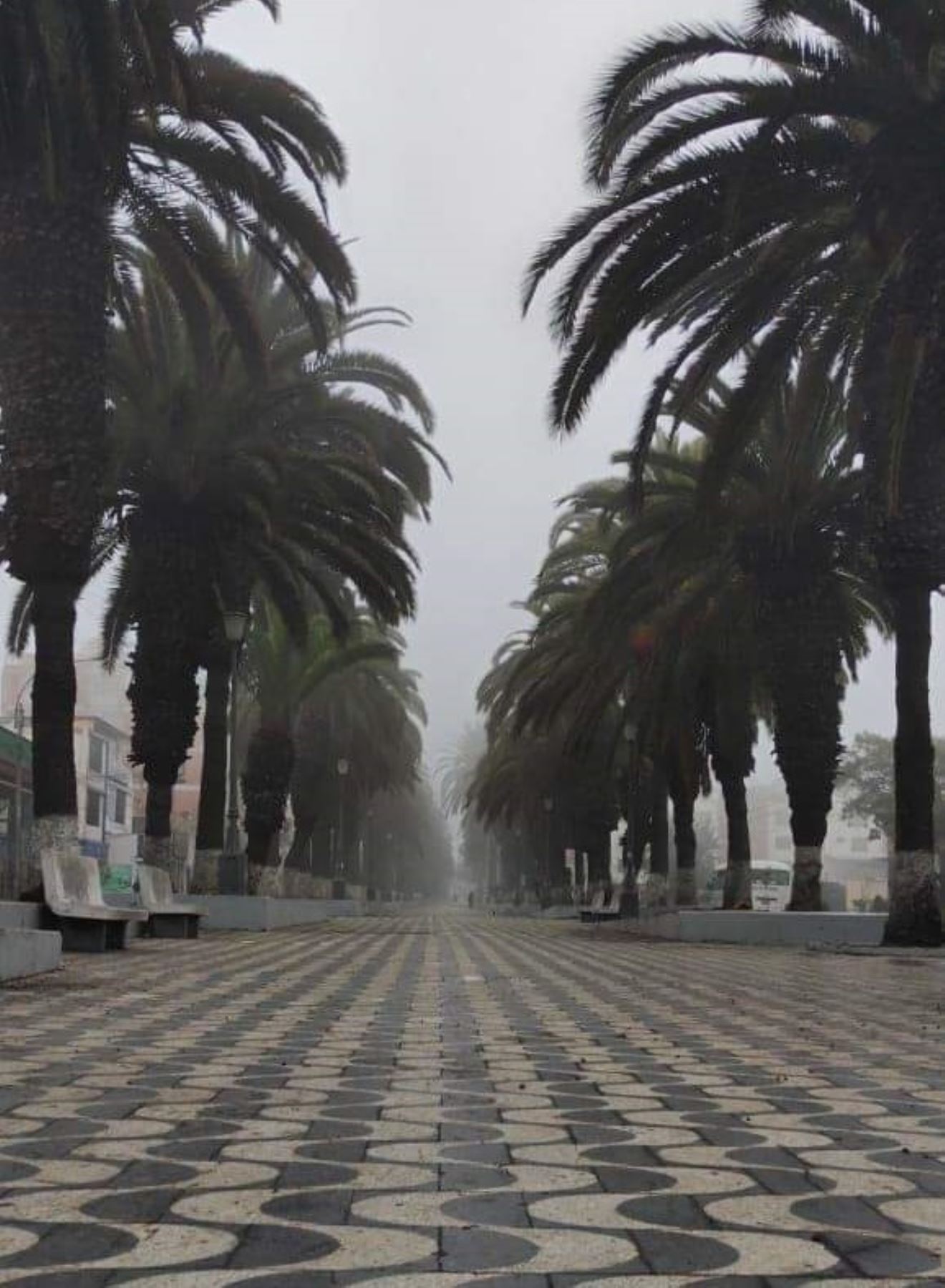 También persistirán lluvias moderadas en la Selva y Sierra. Foto: ANDINA/difusión.