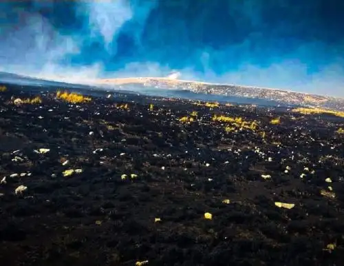 Un incendio forestal de grandes proporciones se registró en el distrito de Machu Picchu, en Cusco. Felizmente fue controlado a tiempo y no causó daños personales. ANDINA/Difusión