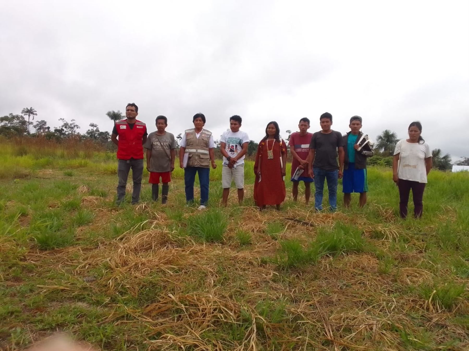 A fines de julio el programa PIAS brindará atención al pueblo asheninka de la comunidad Alto Tamayo Saweto, región Ucayali. Los servicios se darán en lengua indígena. ANDINA/Difusión