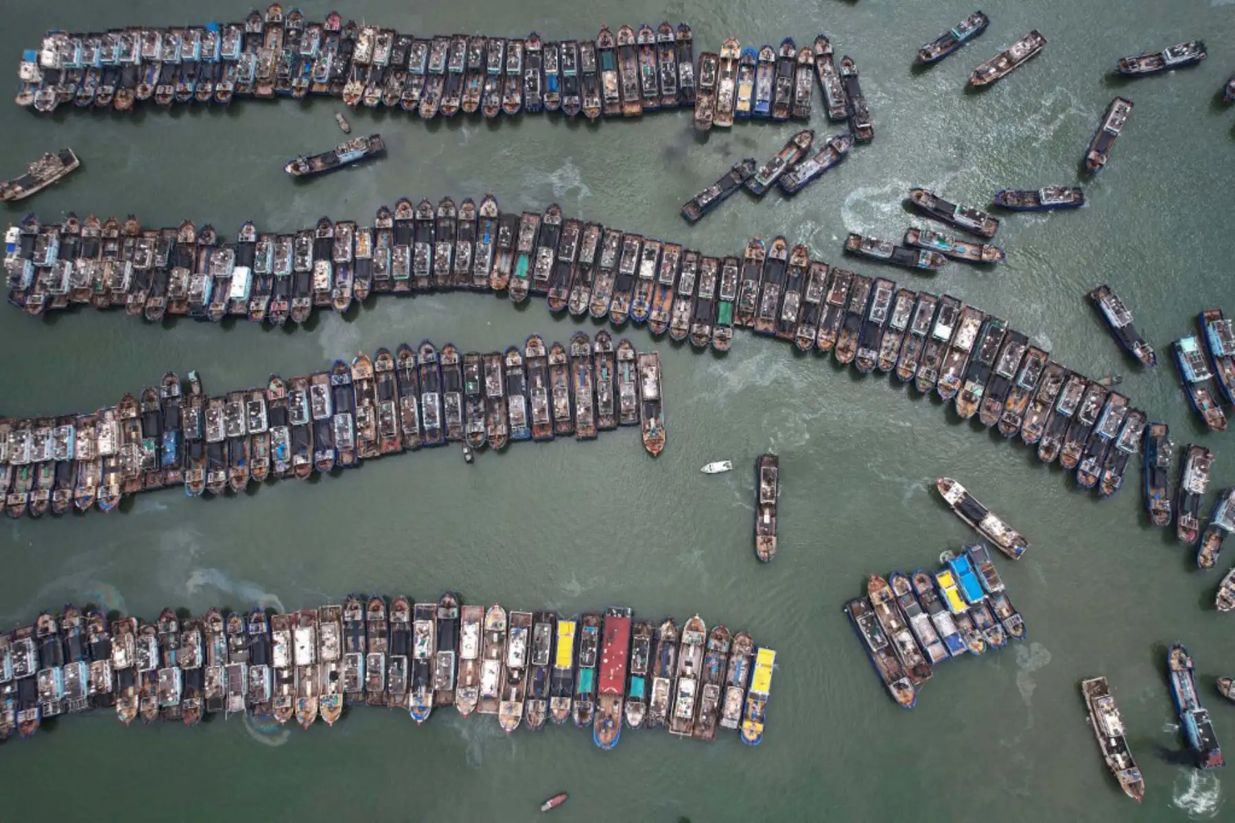 Barcos pesqueros atracando en un puerto para evitar el tifón Gaemi en Xiamen, en la provincia de Fujian, en el este de China.  Foto: AFP