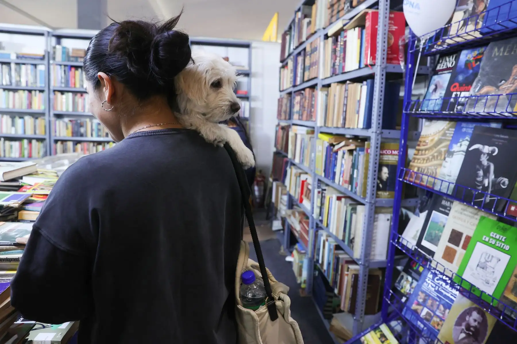 Una variedad de ofertas de estilos y géneros literarios están puestas a disposición de los asistentes a la FIL 2024. Foto: ANDINA/Melina Mejía