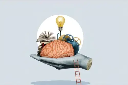 Para crear mapas detallados a nivel sináptico, los investigadores necesitan obtener imágenes del cerebro con una resolución nanométrica y trabajar con cantidades masivas de datos. Foto: Google