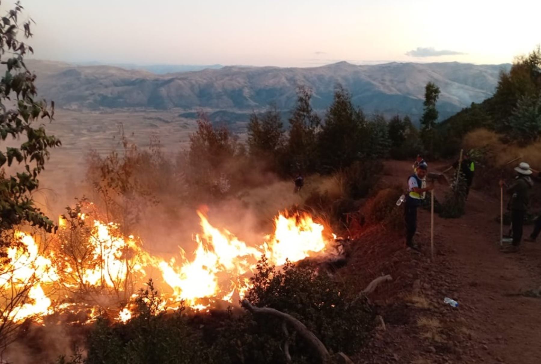 El indeci recuerda que no se debe intervenir en un incendio forestal si no se cuenta con el entrenamiento y equipo de protección adecuados, así como cubrir la boca y nariz con un paño húmedo para no inhalar humo. ANDINA/Difusión