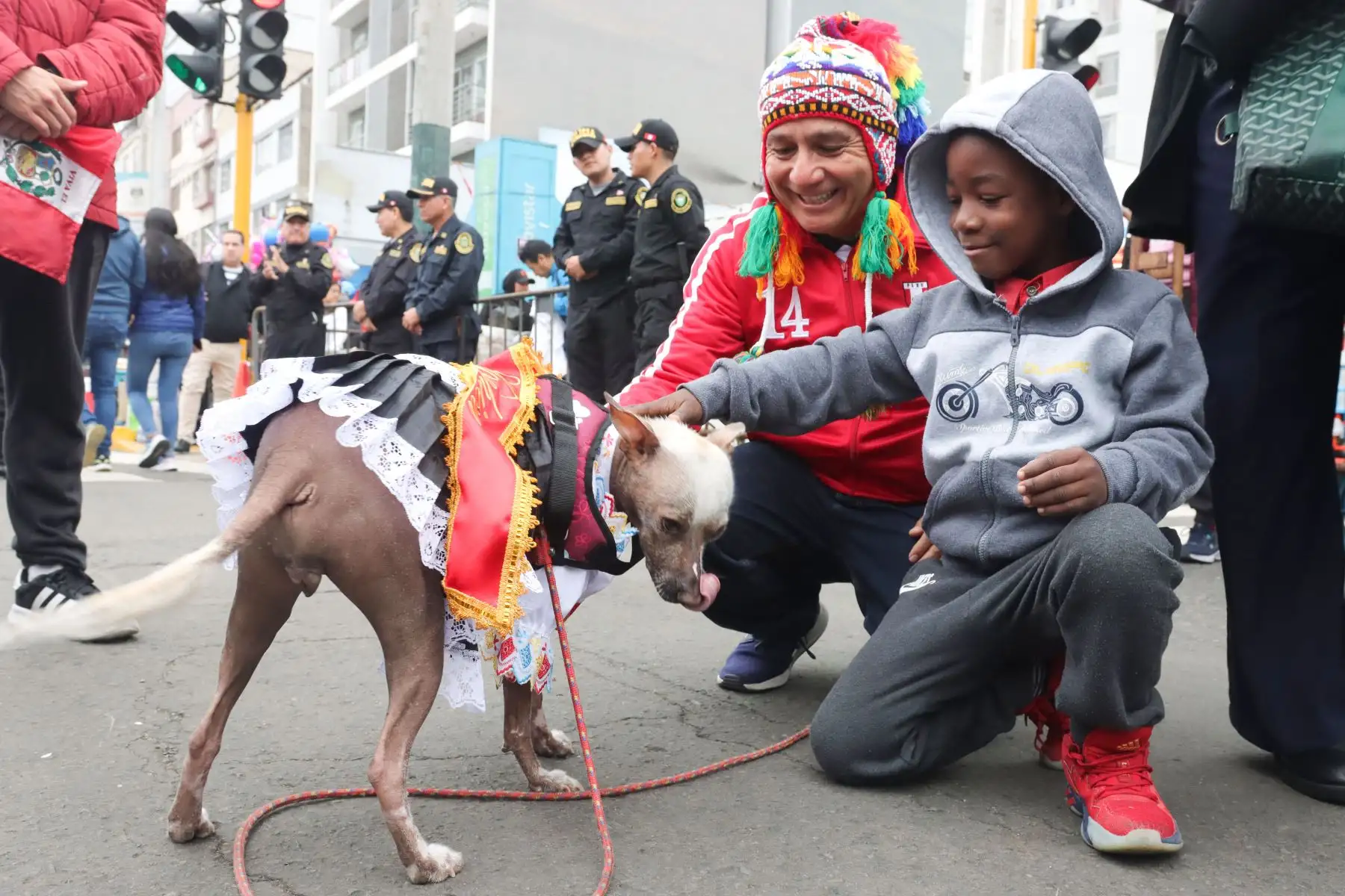 Imágenes previas  del Desfile cívico militar por fiestas patrias en la avenida Brasil. Foto: ANDINA / Lino Chipana