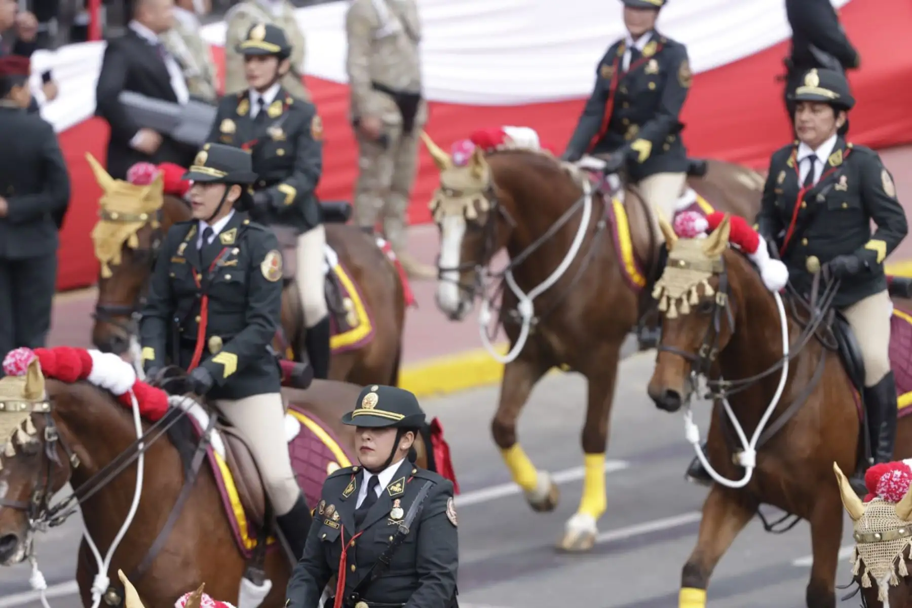 Brigadas de caballería de la Policía Nacional y del Ejercito participan en la Gran Parada y Desfile Cívico Militar.  Foto: ANDINA/Luis Iparraguirre