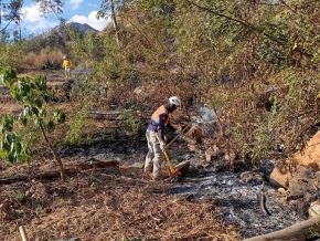 Alrededor de 20 hectáreas de cultivo fueron arrasadas por un incendio forestal registrado en el distrito de Curgos, provincia de Sánchez Carrión, en la sierra de La Libertad. ANDINA/Difusión