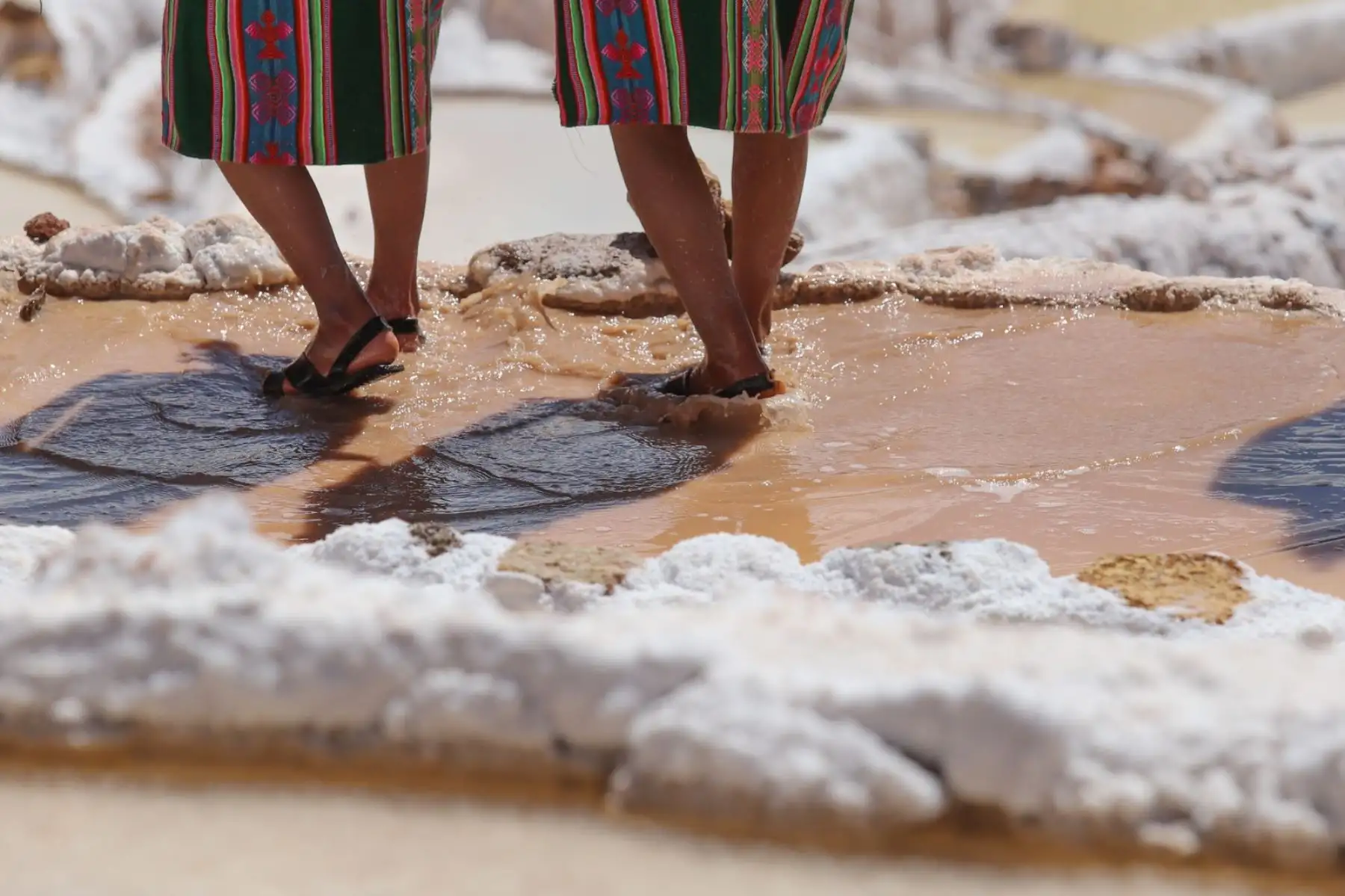 En las Salineras de Maras, ubicadas en la provincia de Urubamba, en el Cusco, se escenificó por primera vez el “Kachi Raymi” o fiesta de la Sal, expresión cultural que busca revalorar la ancestral extracción de este mineral para la supervivencia. Foto: Percy Hurtado