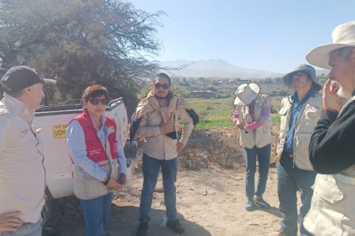 El complejo arqueológico de Pillo está ubicado en el distrito de Socabaya, en la región Arequipa. Foto: ANDINA/Mincul