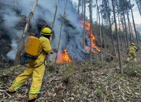 Solo en julio la región Áncash ha reportado 25 incendios forestales, casi un siniestro por día, y en lo que va del año ha registrado 83 emergencias de este tipo. ANDINA/Difusión
