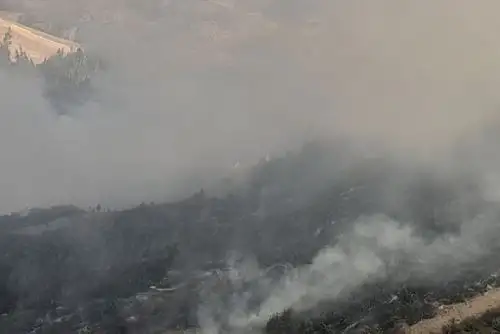 El fuego se extendió rápidamente por las condiciones climáticas adversas y la topografía del terreno, dejando destrucción en el bosque.