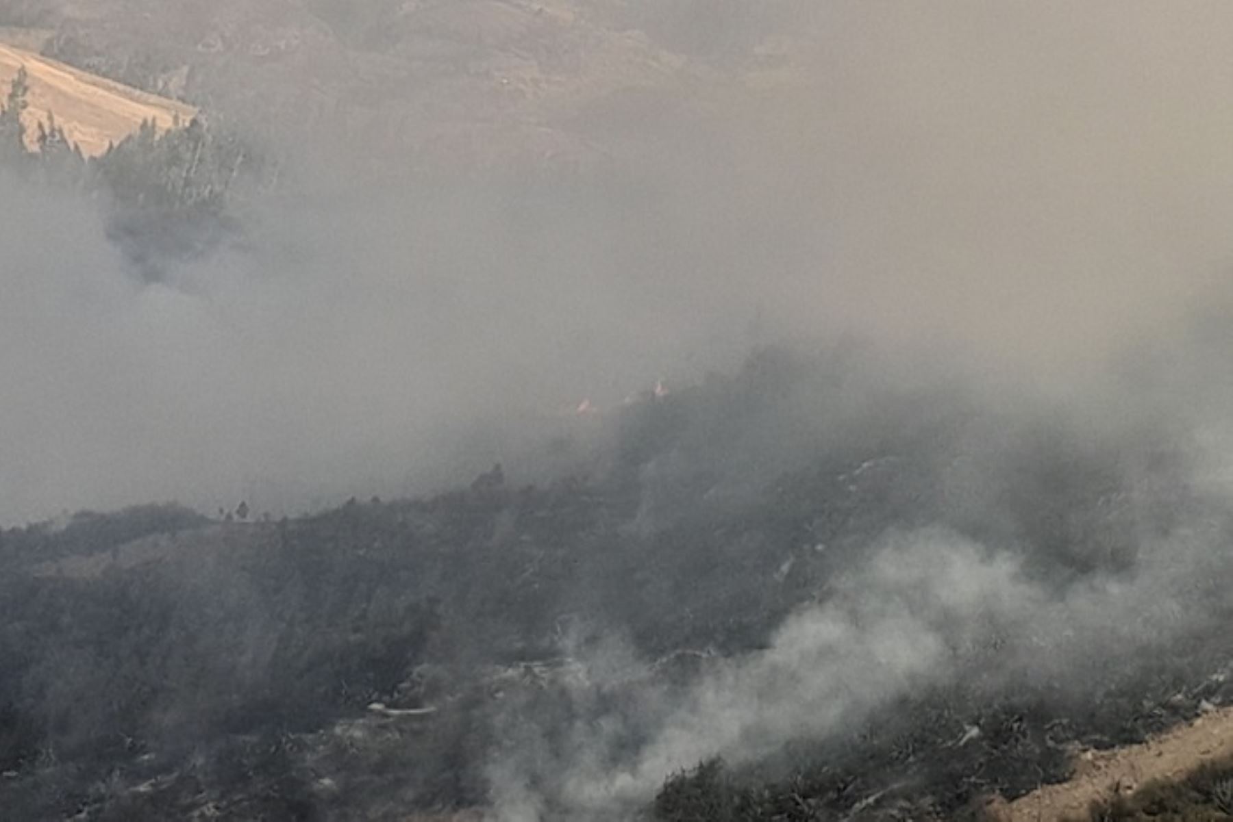 El fuego se extendió rápidamente por las condiciones climáticas adversas y la topografía del terreno, dejando destrucción en el bosque.