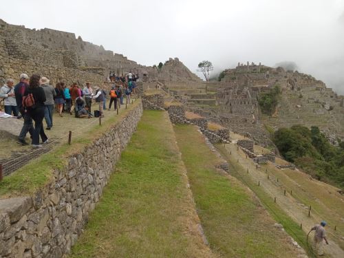 Andenes de la ciudadela inca de Machu Picchu Foto: ANDINA/Difusión
