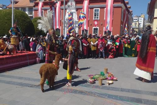 La región Puno cuenta con más de un millón 460,000 alpacas y destaca en el mundo en la crianza de estos camélidos sudamericanos.